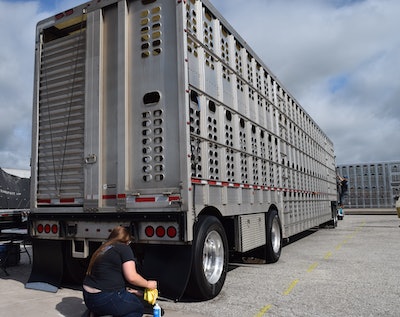 Miranda Eggers polishing livestock trailer